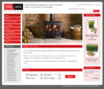 Firebox Stoves